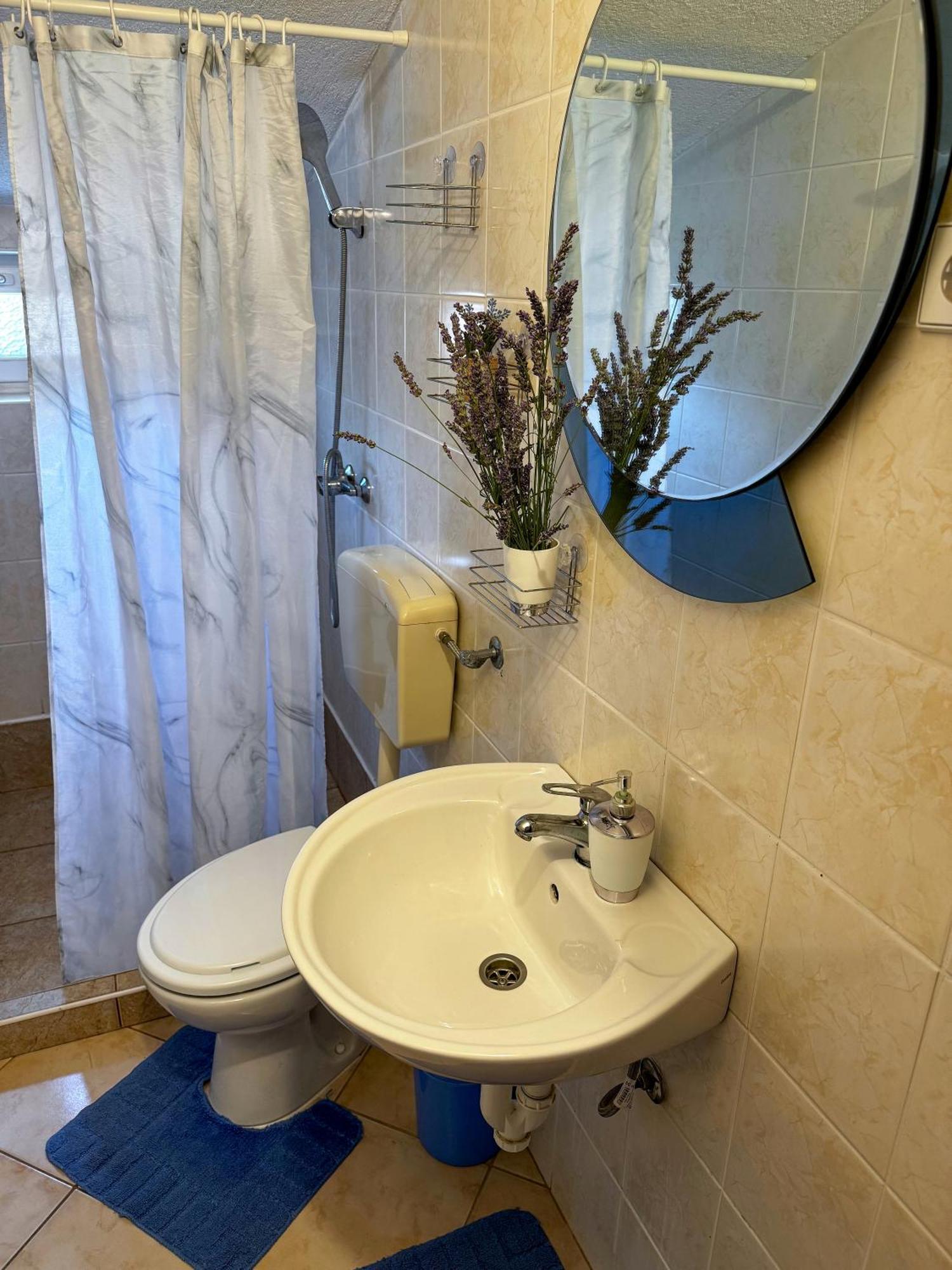 Apartmani Cvangic Vir Ngoại thất bức ảnh